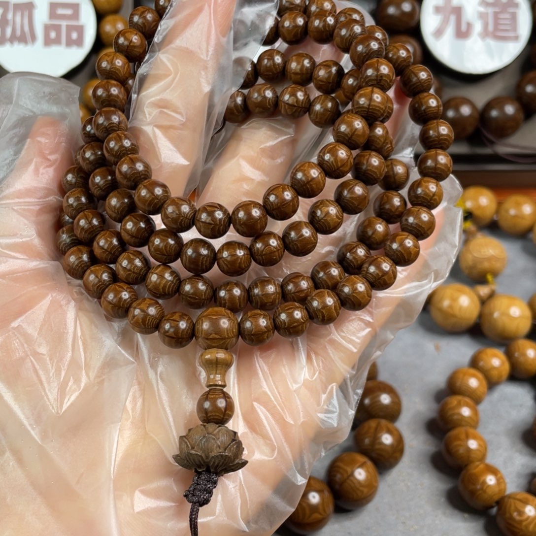 六道木枯树， 毕业0.8