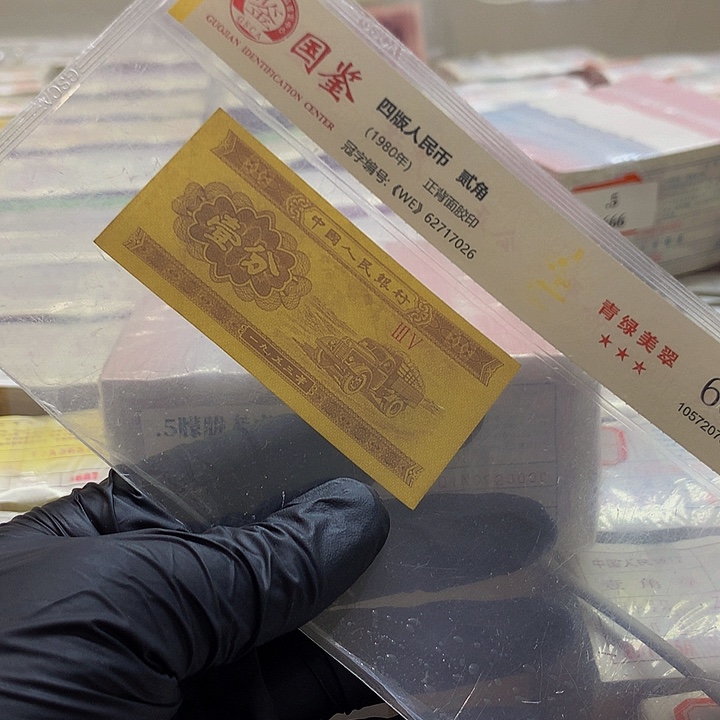 朦胧老虎22222福利福利