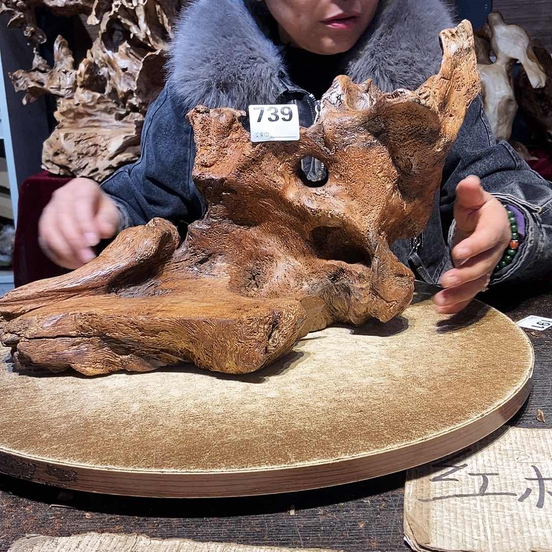 三***哥739。株木随行根艺