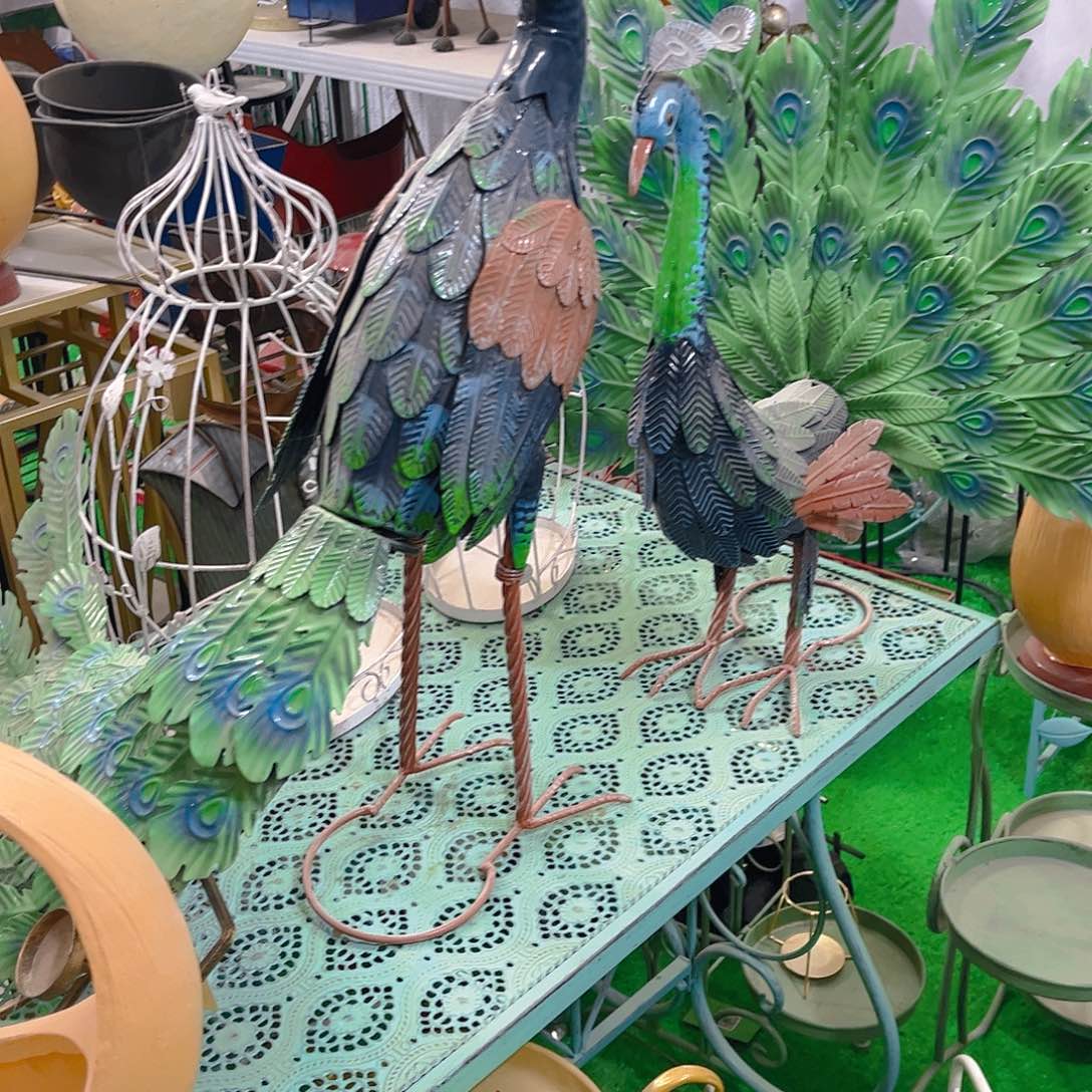 红陶健健康康快快乐乐平平安安