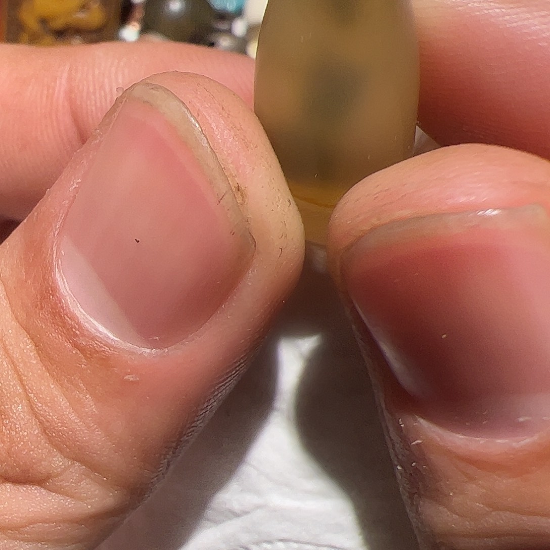 香榧木在家了一个小时