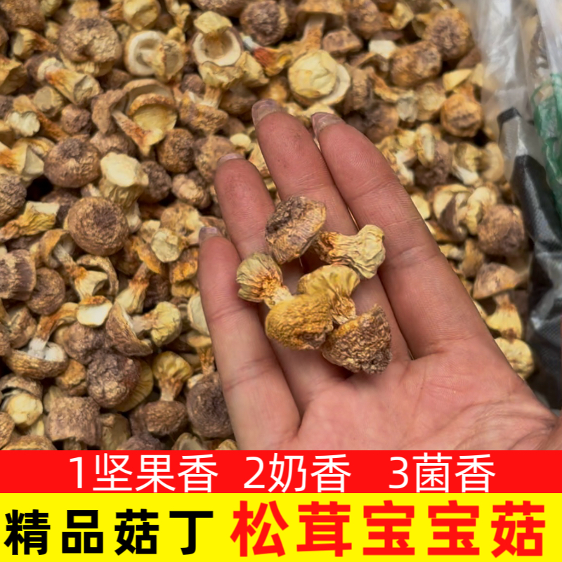 云贵川姬松茸菇丁超嫩煲汤焖肉爆炒天然菌子
