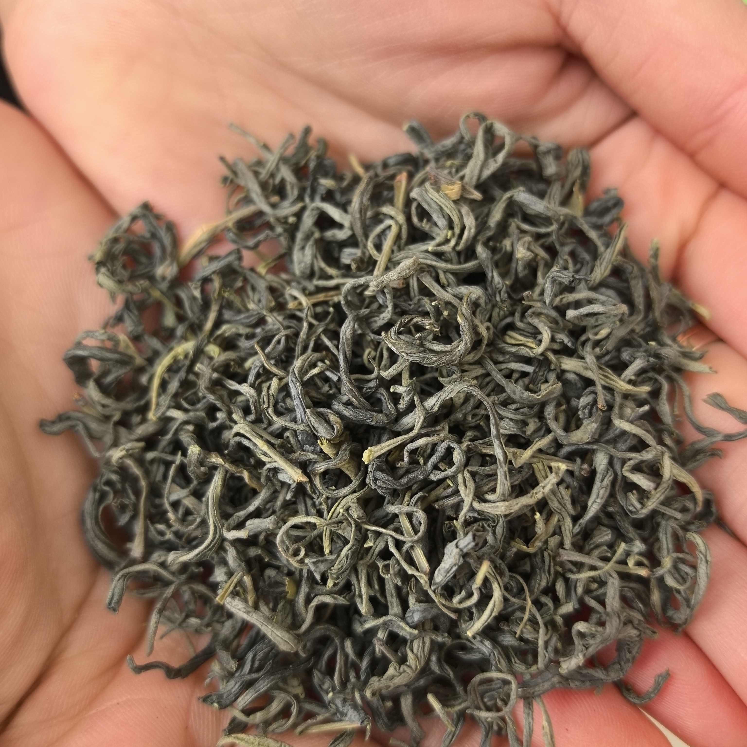 巴东老乡自采绿茶