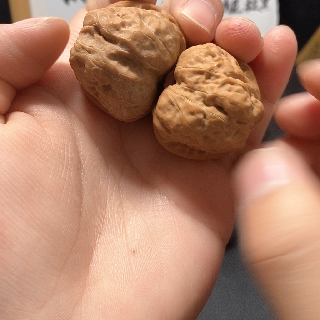 文玩核桃把件蛤蟆