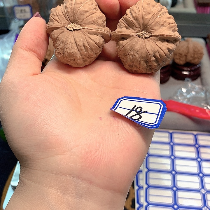 木质类南瓜墩43尺寸