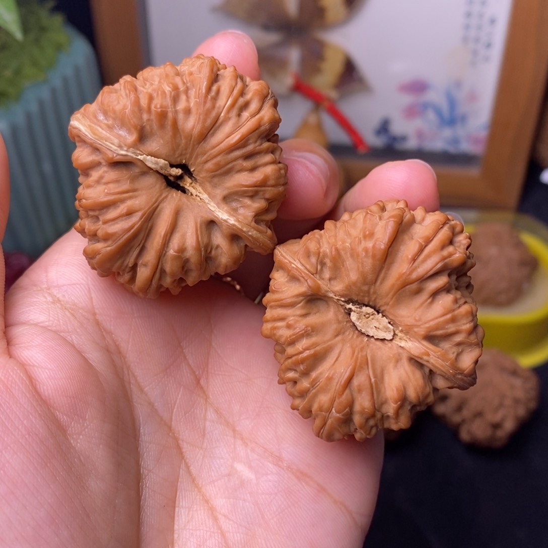 文玩核桃把件40平谷凹底