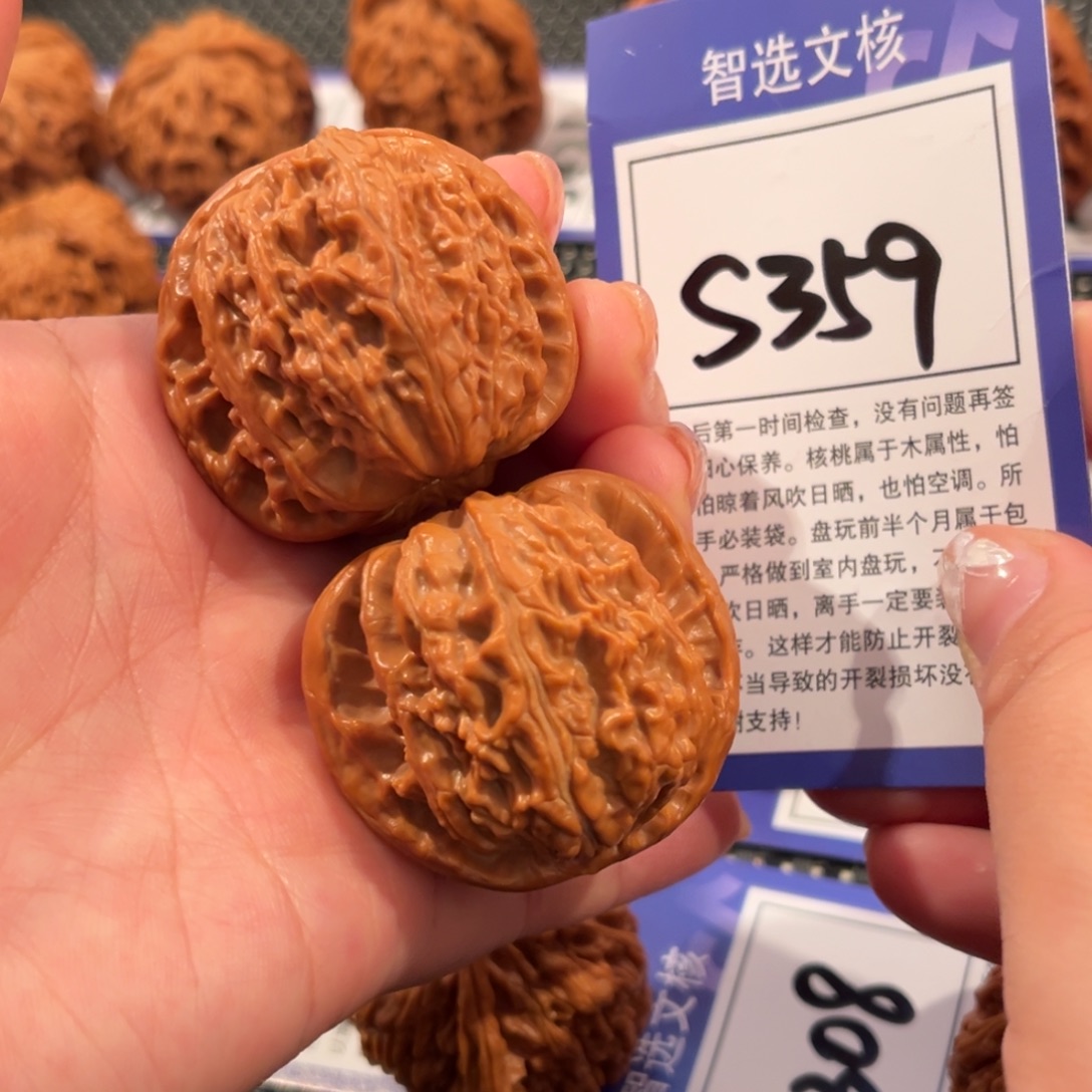 核桃S359号白狮子41尺