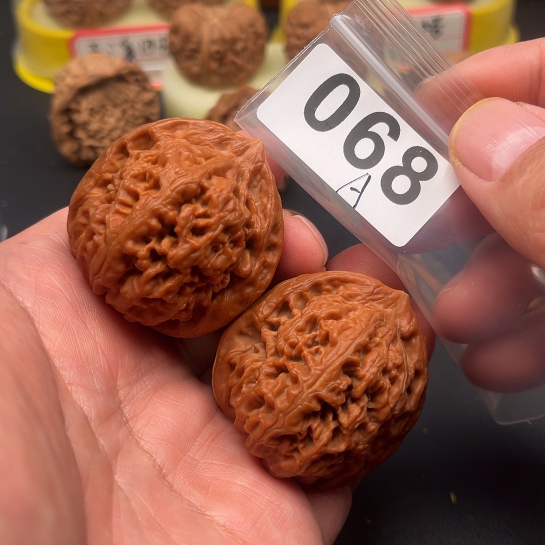 核桃凤凰42个。。。。