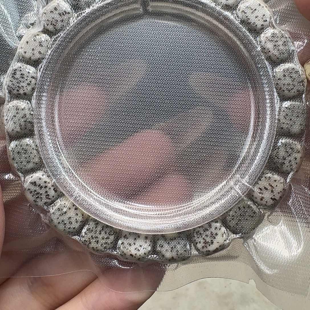 星月菩提手串11灭火糯冰石玉六方10 9