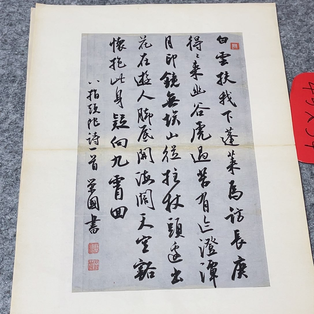 书法国展书家杨荣国45+34