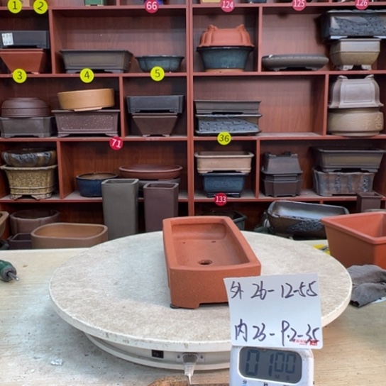 今***四紫砂花盆里都藏满的