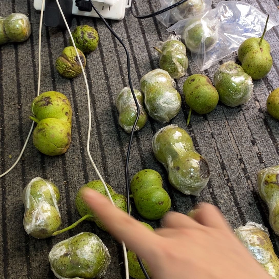 文玩核桃吊坠连体随便挑