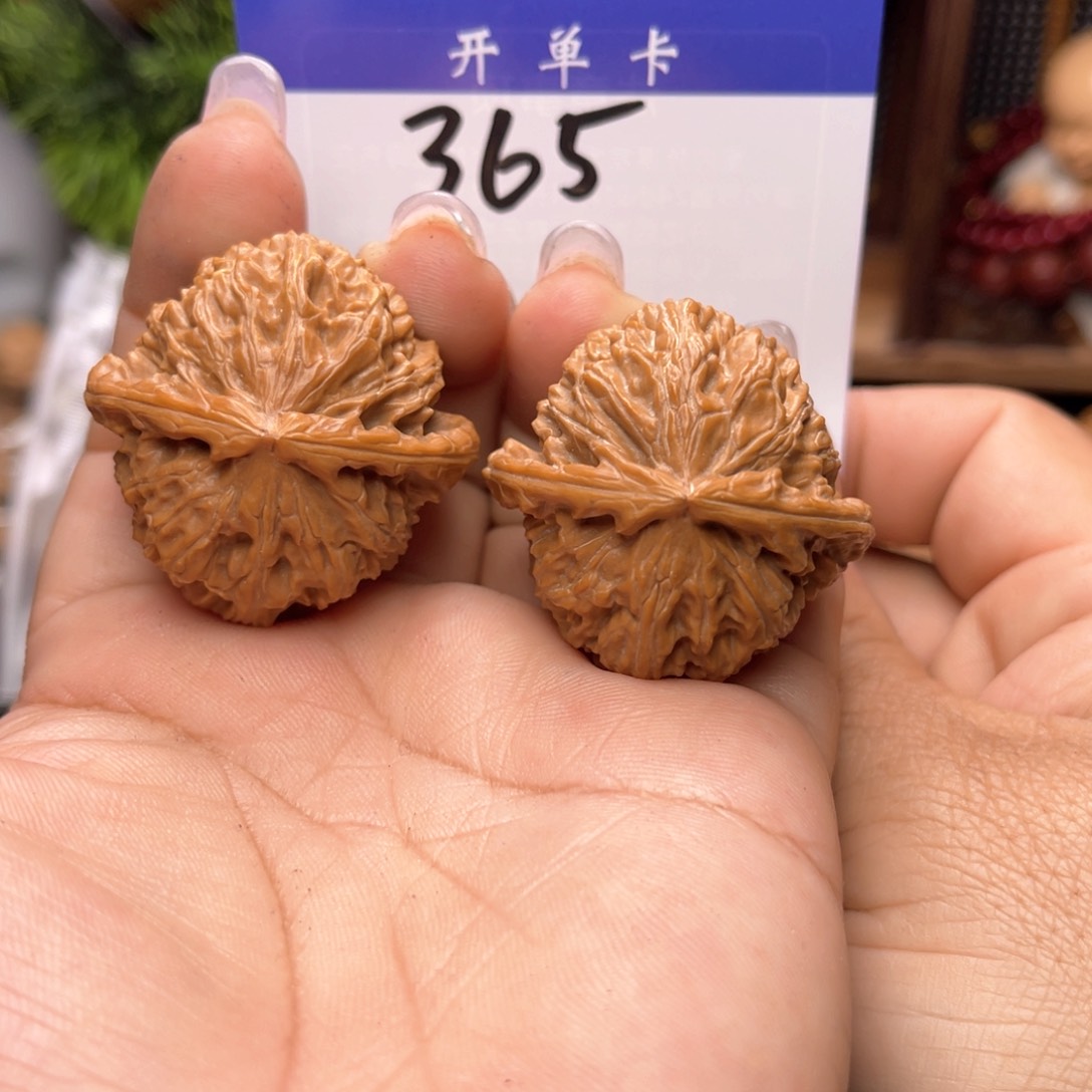 文玩核桃吊坠白狮子。边肚39。丹。微修