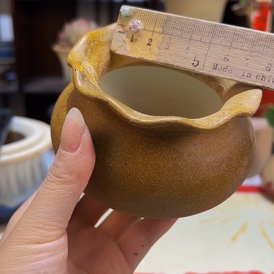 景德镇陶瓷研究所