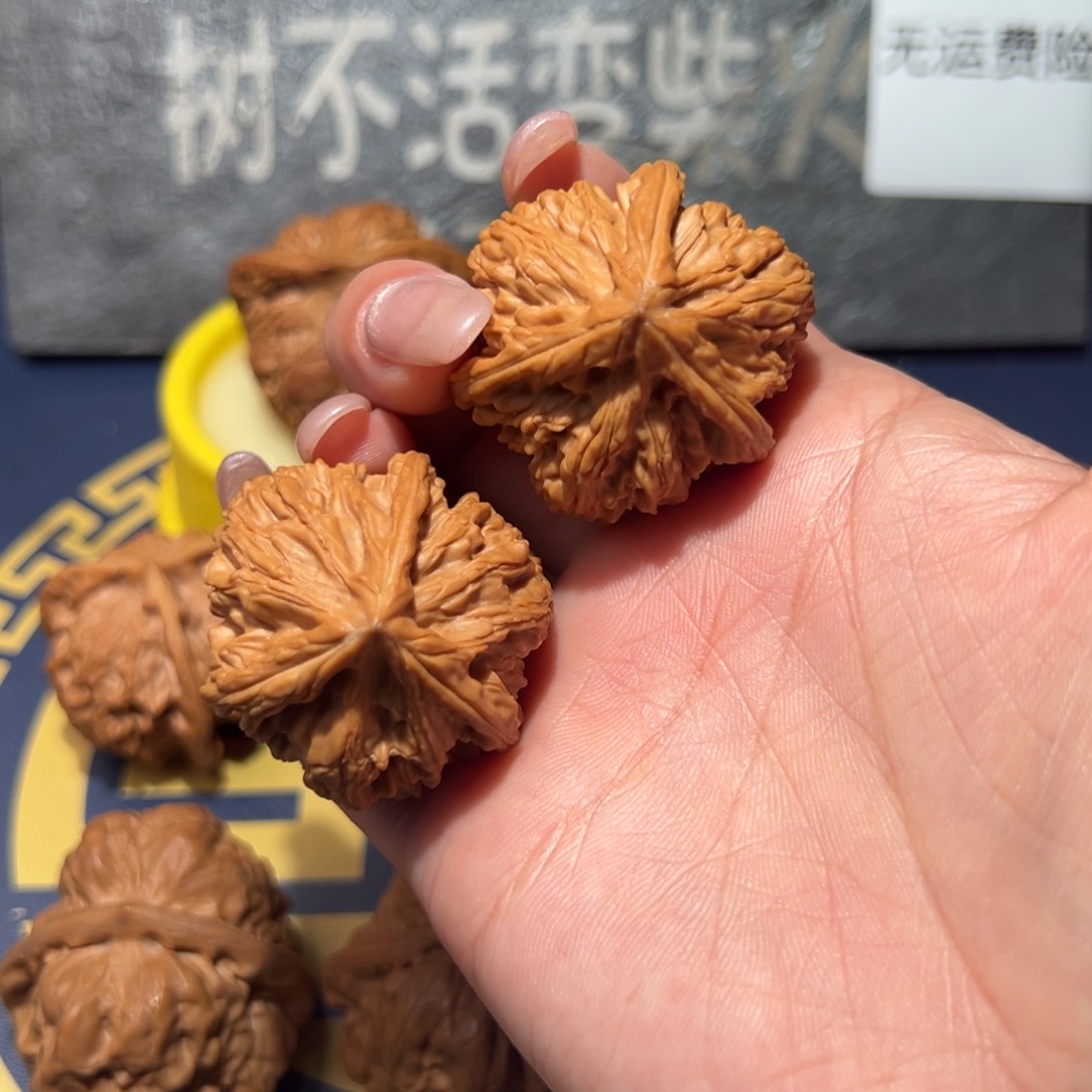 文玩核桃把件文山三棱37