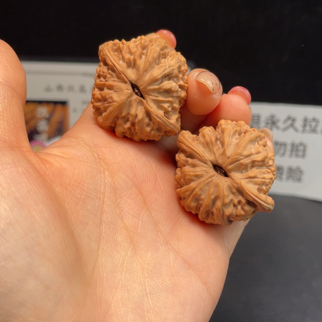 吊坠文玩核桃野生龙珠（小秦闷）