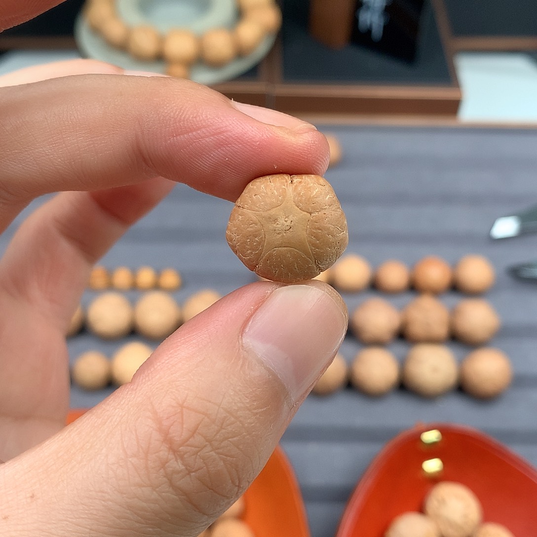 手串凤眼菩提17+五星，非质量问题开孔不退