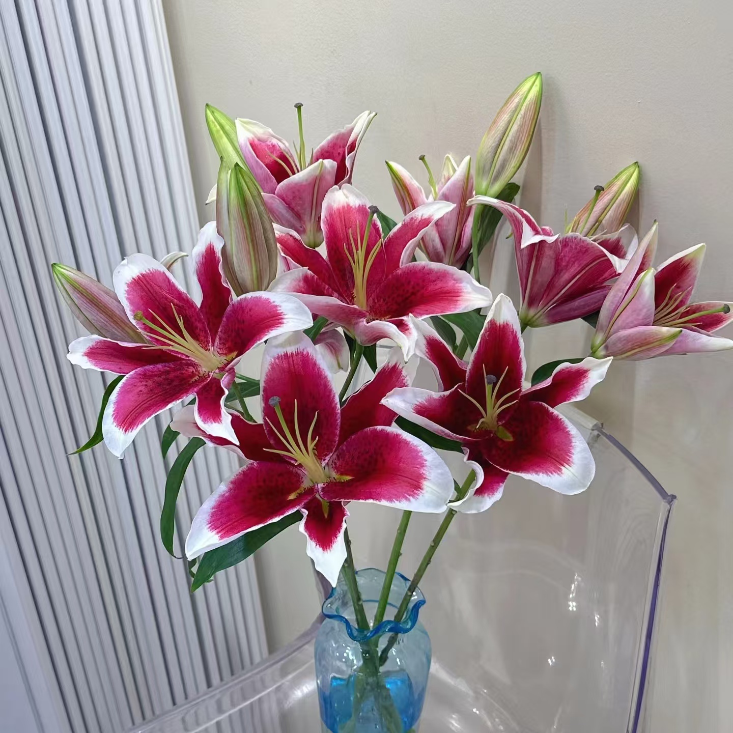 【国王】香水单瓣百合 源头基地基地直发| 任意满两单升级快递