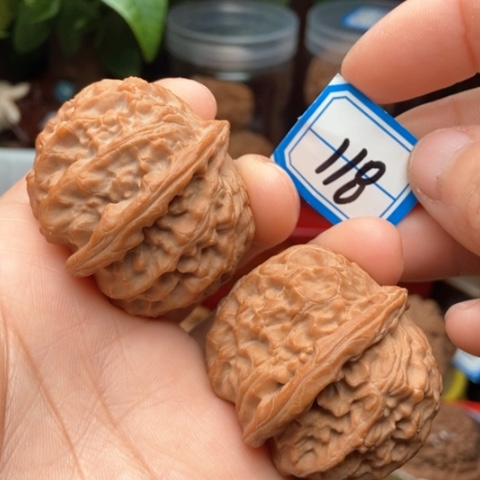 文玩核桃吊坠三角白40.5全品