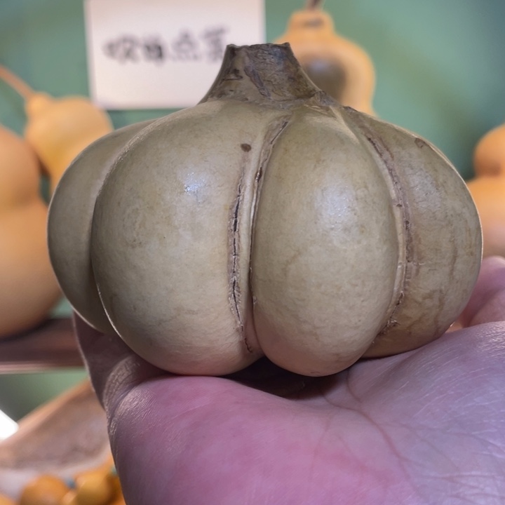 看好下单不保龙头