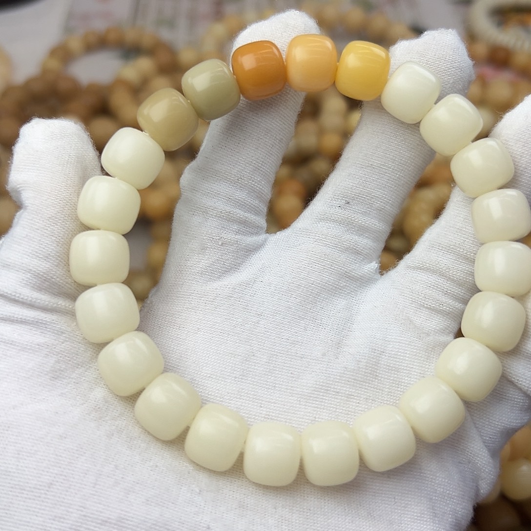 吊坠菩提根/象牙果12干磨婴儿几乎715