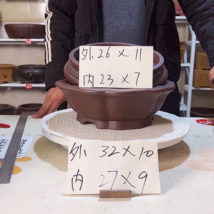 紫砂花盆景*紫砂花盆