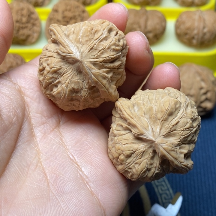 文玩核桃南瓜墩41