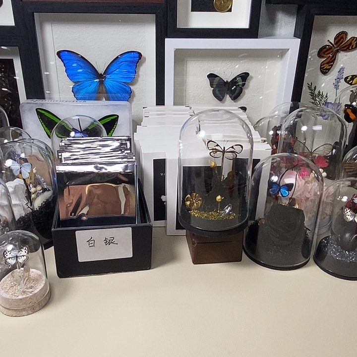 有机玻璃哈哈哈哈哈哈哈哈