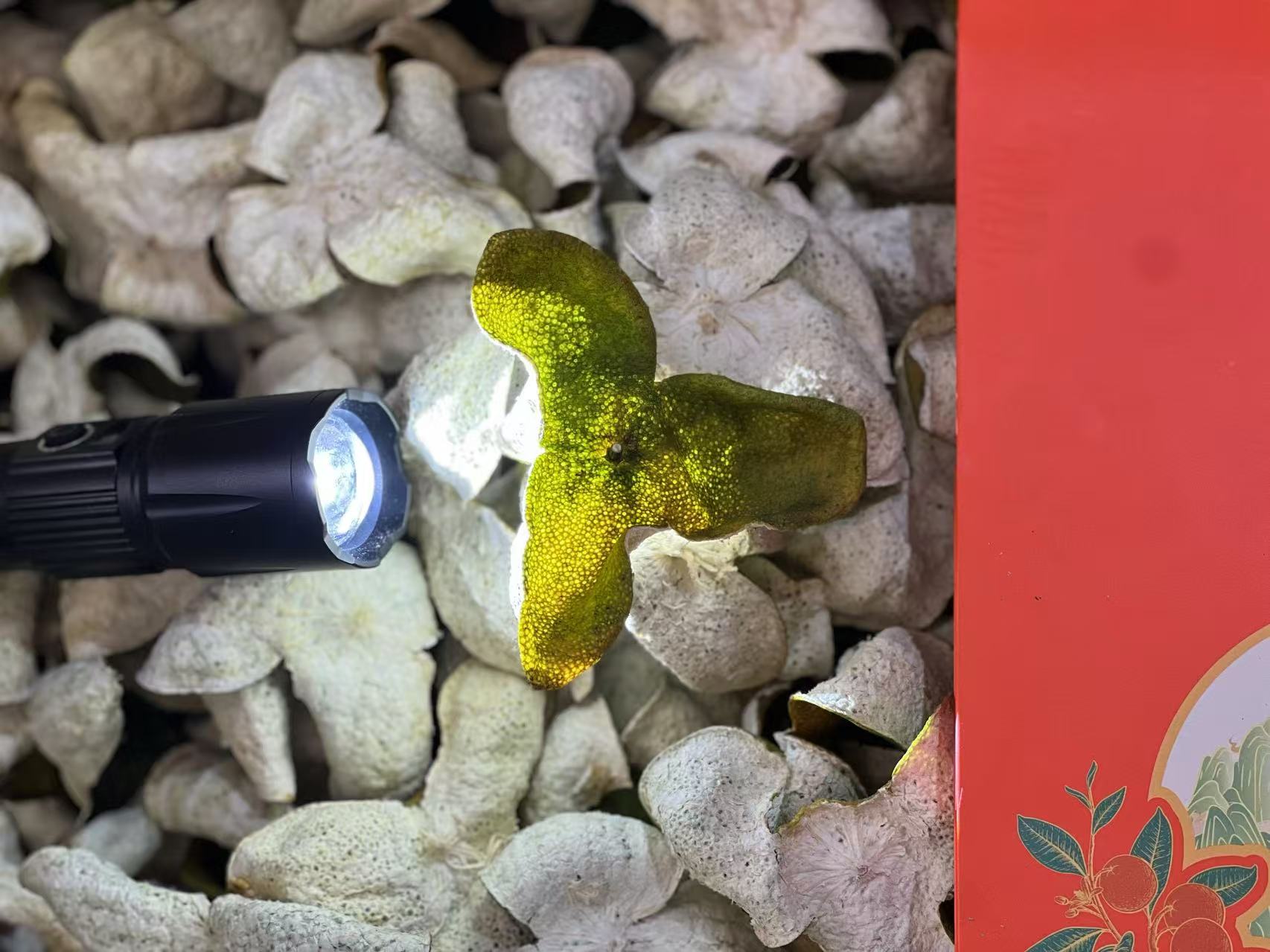 【三少茶话会】2024年天马 二红转大红大果 完整皮正宗新会陈皮