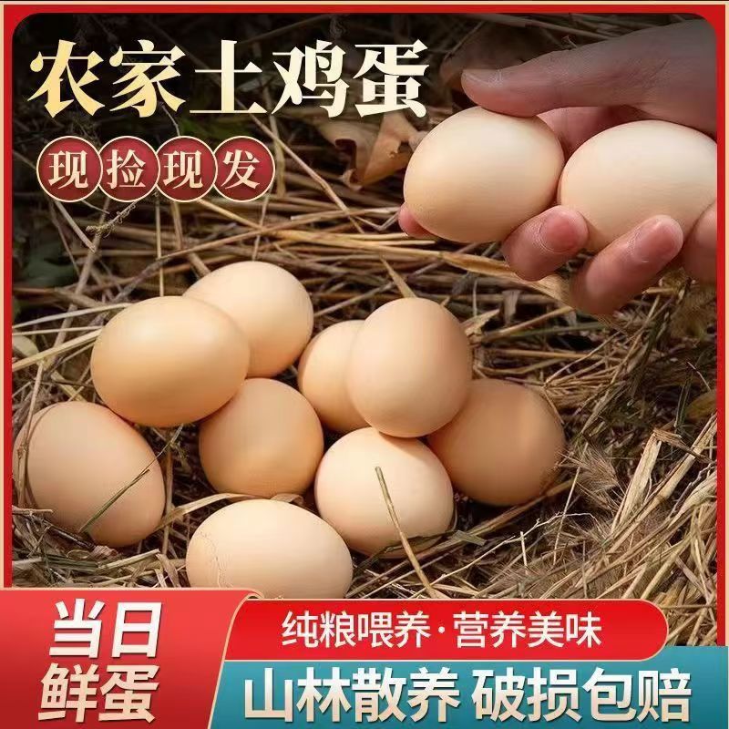 【40枚土鸡蛋】农家散养土鸡蛋笨鸡蛋单个40g左右现拣现发坏了包赔
