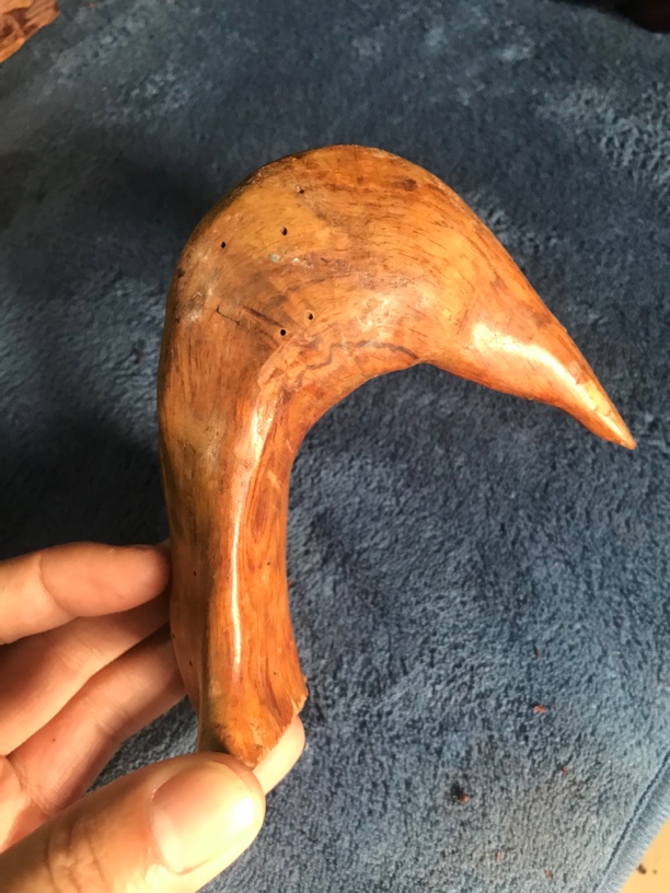 老康梨原材料标本