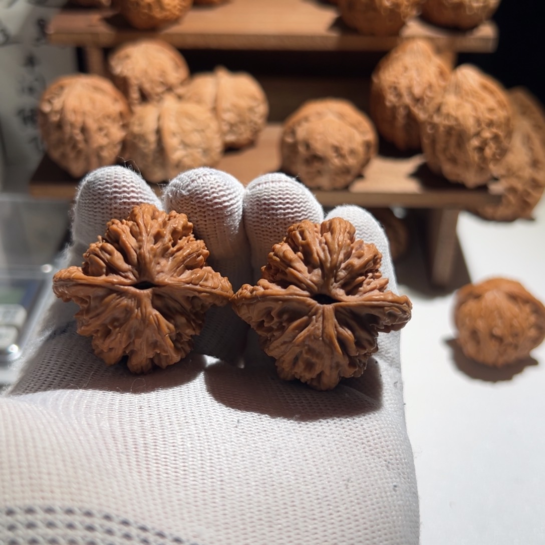 饲***袁核桃全品无修 40 虎头