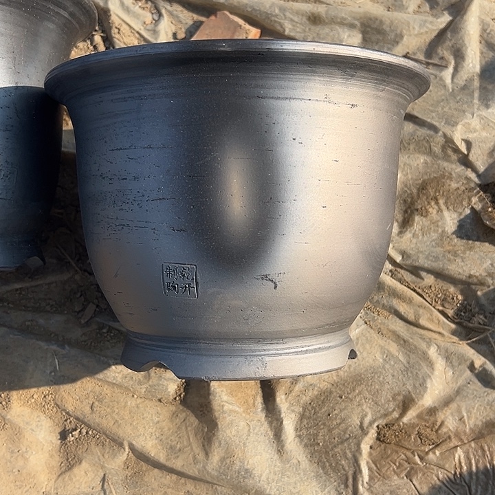 花色放漏胖金钟口径15高度19