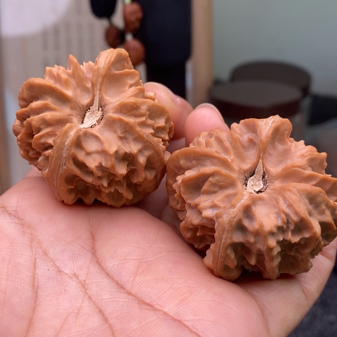 文玩核桃把件独**楼11111111111111