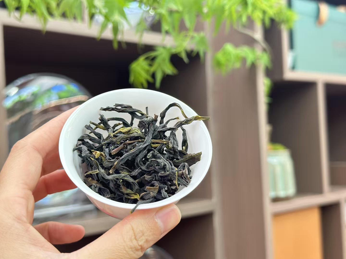 凤凰单丛2025年新茶出炉【头春鸭屎香】