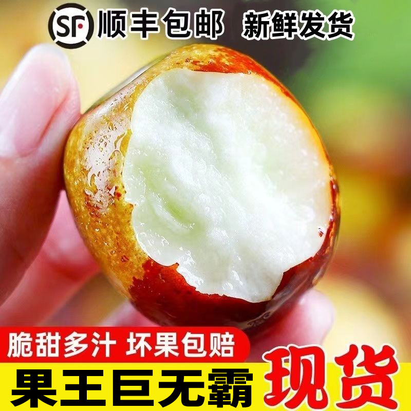 【巨无霸】冰糖冬枣果园现摘新鲜水果应季大荔临猗双仓枣子礼盒批发