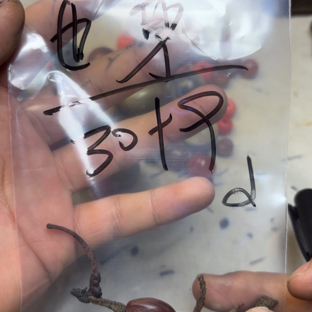 也***身泥塑藏地金刚菩提念珠