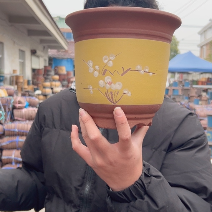 黄点菜金钟小一个花盆花盆花盆花盆