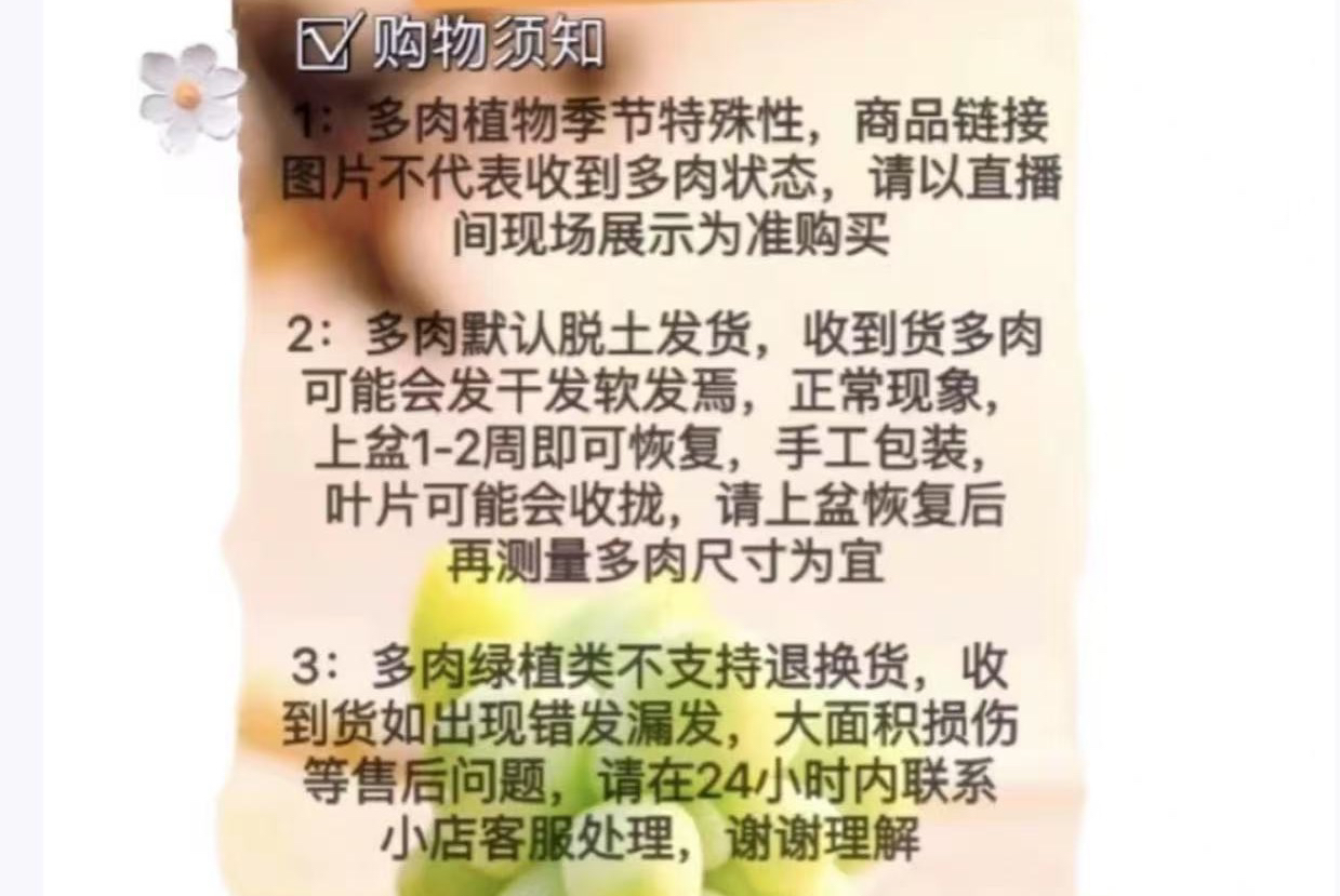 直播间多肉一物一拍综合链接，拍下请联系客服
