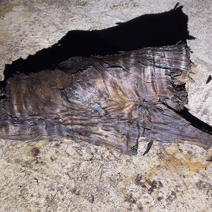 老***童金丝楠木原料摆件