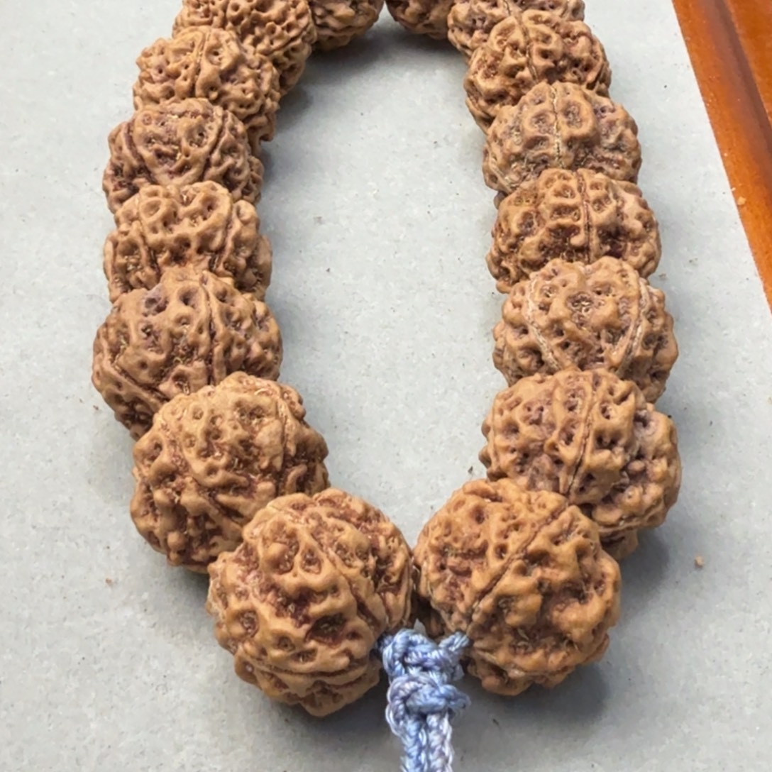 掰***果金刚菩提吊坠雪山铁籽粗筋蜂窝双龙