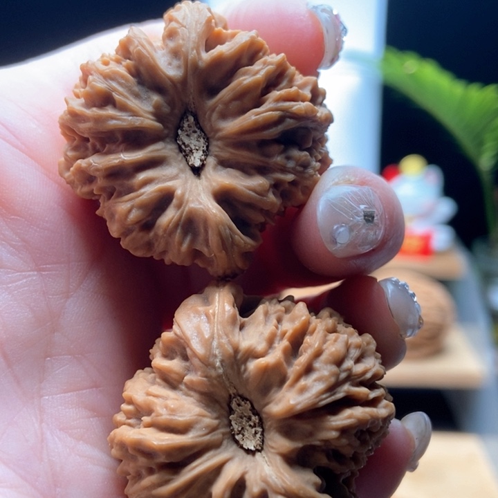 核桃手串/手链窝头天眼酒杯底老核全品