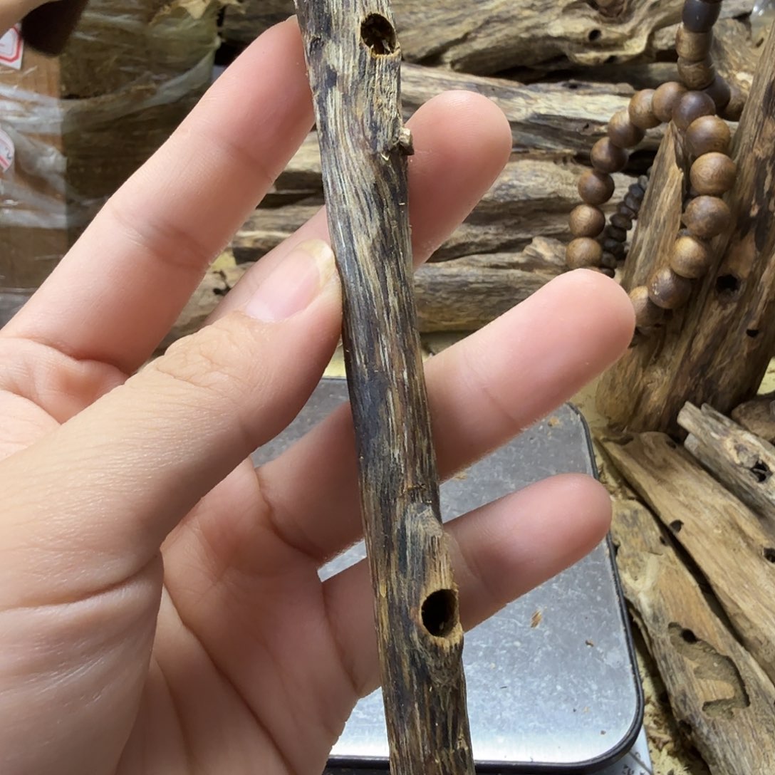 木绿奇楠虫漏10克