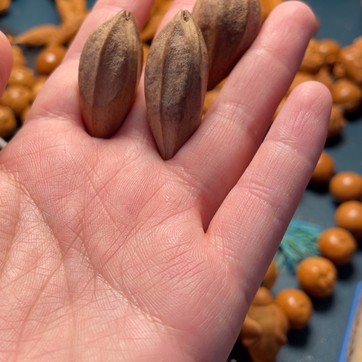 橄榄核手串/手链橄榄