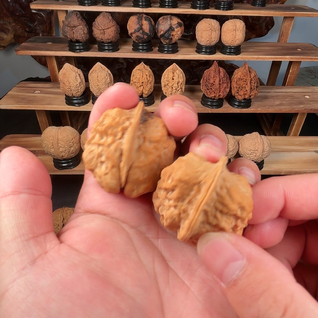 龙脊菩提把件手把件云铁甲壳虫