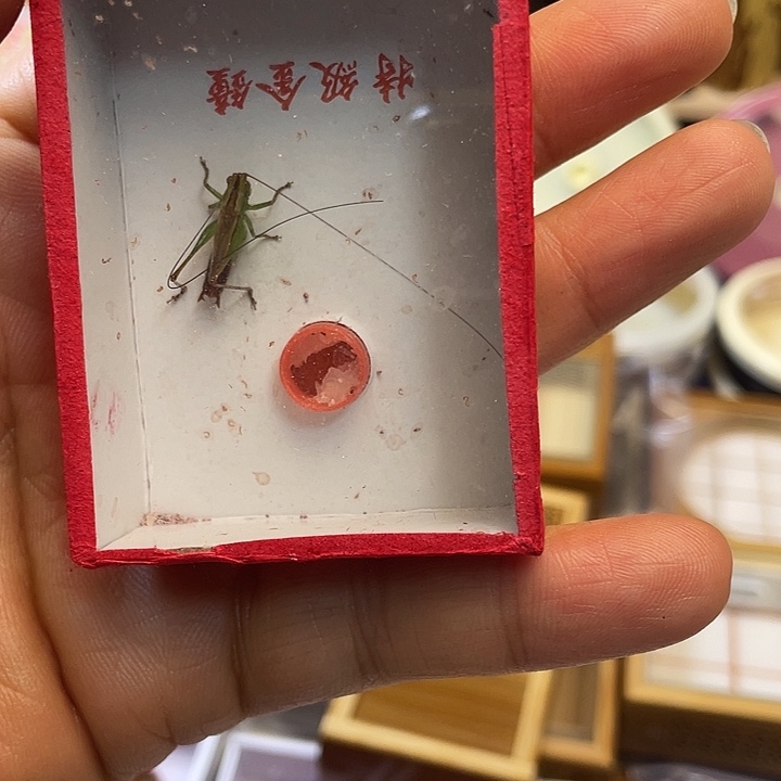 蒙***军糖果1啊啊啊啊啊啊