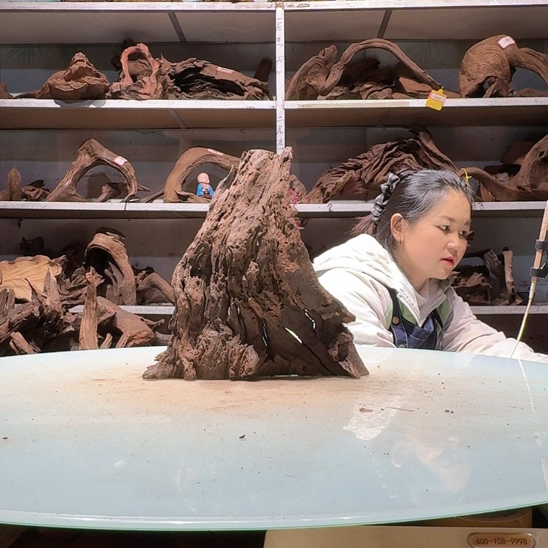 倍褚沉木不包损必褪色6898