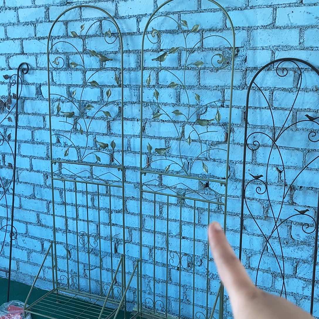 孤品炸炸炸炸炸炸