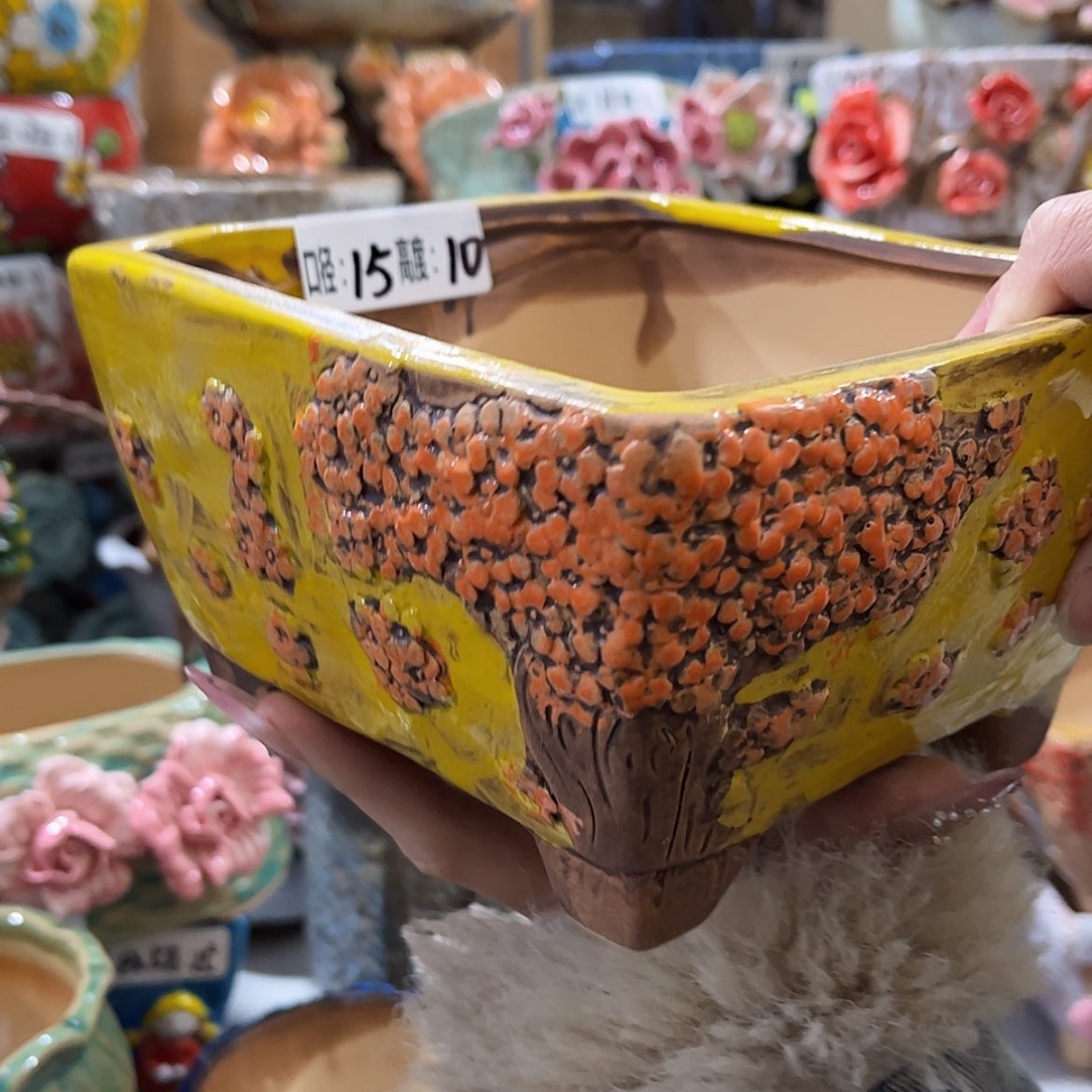 【闪购商品】红陶福利