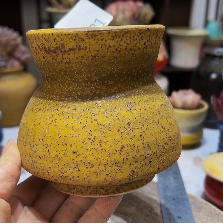 景德镇陶瓷2单包邮